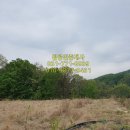 만다공인중개사사무소 이미지