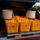 상훈농장 이미지