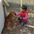 건호농장 이미지