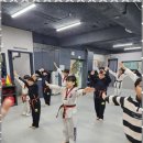 바르게태권도장 이미지