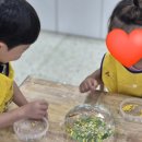 알프스하이디어린이집 이미지