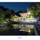 화왕산 달빛기행길 | 창덕궁 달빛 기행 예매 방법 미리 알고 준비하기 - 상반기 취소표 확인, 하반기 일정 보기