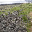 일과리-2 이미지