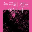 나벨라