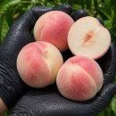 당도 - 서산시 성연3로 57-30 | 당도