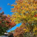 문경새재길 이미지