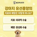 석적동물병원 이미지