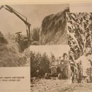 대한농장 이미지