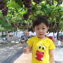 봉기농장 이미지