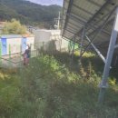 호담태양광발전소 | 경북 상주시 외서면 1400kW 태양광 발전소 예초작업 후기