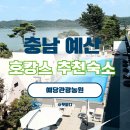 블루비치 관광농원 | 휴가철 가족과 가기좋은 글램핑 수영장 충남예산숙소 예당관광농원