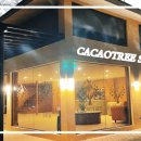 카카오트리(CACAOTREE) 네이버블로그