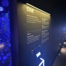 미디아트 | 여수 가볼만한 곳 아르떼뮤지엄 기대보다 좋았던 미디아트 전시