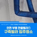 한울펠리스 | 인천 부평 입주청소 한울팰리스 강아지털 곰팡이 완벽제거 후기