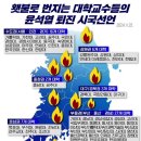 尹 대통령 퇴진, 하야 요구 ... 대학가 휩쓰는 시국 선언 - 78개 대학 이미지