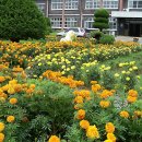 칠산초등학교 이미지