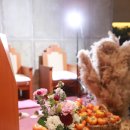 천송이꽃방 이미지