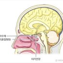 컬러 테라피 - 몸을 다스리고 마음을 움직이는 색채 이미지