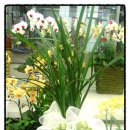 (주)유앤지 이미지