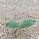 진동시장 이미지