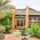 펫브런치 이미지