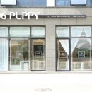 306 퍼피 이미지