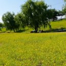 주식회사 직거래장터 이미지