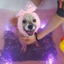 잇츠 소미 스타일 이미지