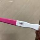 드림의원 | [임신 준비]_천안 &lt;라팡,드림아이여성의원&gt;임신 준비 난임병원 후기