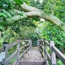 외연도1 이미지