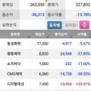 대성이앤에이 이미지