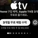 아케이드 뮤직 | 아이폰17 프로 구매 혜택 애플 뮤직 애플 티비 아케이드까지 3개월 무료 이용권