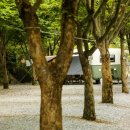 금방아 민박 캠핑장 이미지