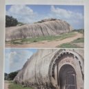 생명의근원Ⅱ 이미지