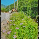 정선황토펜션1 이미지