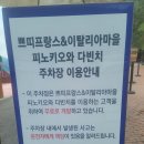 봉쥬르 펜션 | 가평볼거리 쁘띠프랑스 주차장 입장료 매표소와 인형의집