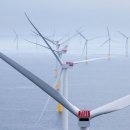 clean&farm 이미지