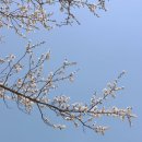 따르릉타고라이딩 [중랑천/자전거라이딩]
