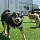 (주)올마 이미지