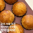 공산성 주차장 화장실 | 공주 공산성 카페 추천 베이커리밤마을 내돈내산 밤마을파이 밤젤라또