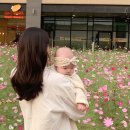 코스모스맨션 앞 이미지