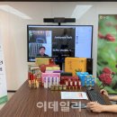 김포파주인삼농협현지네