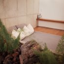 스테이숲이되는시간 이미지