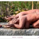 김명희 이미지