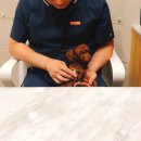 미사서울동물병원 네이버블로그