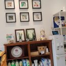 오석헌동물병원 이미지