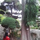 동현중학교 이미지