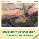 (동서남북)작은 생태계 테라리움 만들기 | 망원동 키즈클래스 아이와 테라리움만들기 폴리아리움 내돈내산 후기