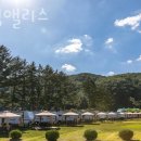 캠핑 앨리스 이미지