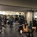 머슬마인드 이미지